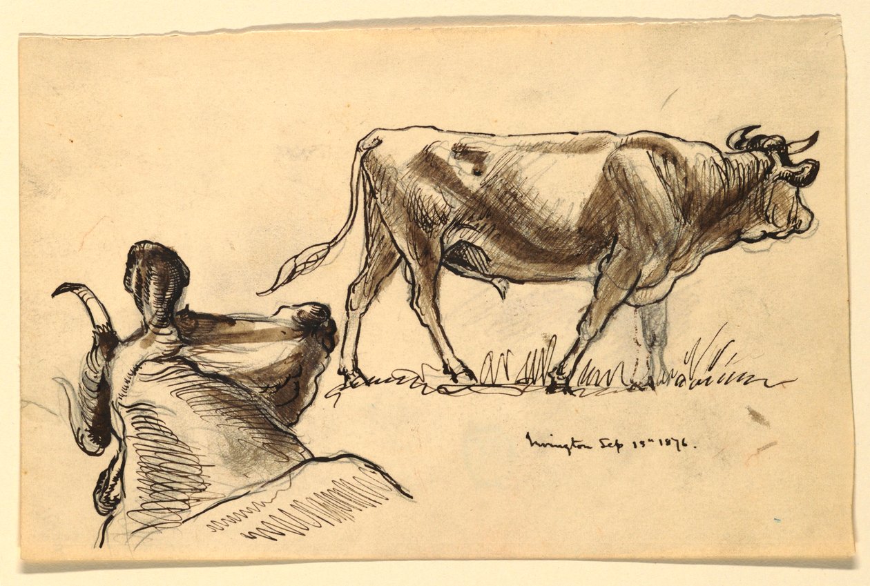 Schizzi di bestiame, Irvington da Samuel Colman