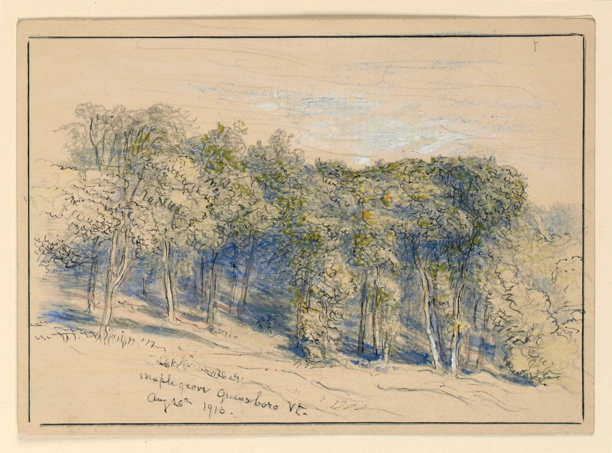 Studio di boschetto d