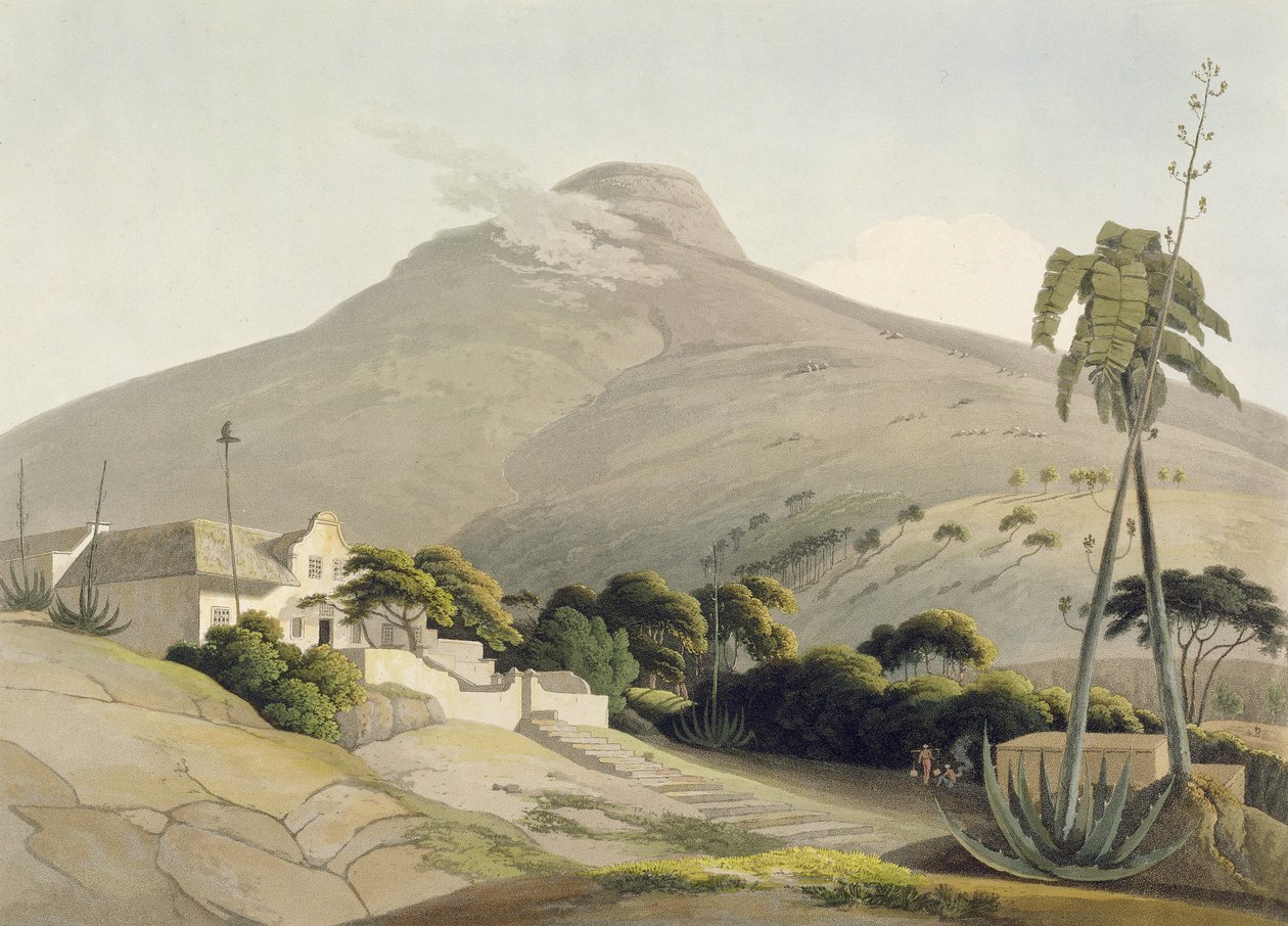 Vista della Testa del Leone, tavola 28 da 