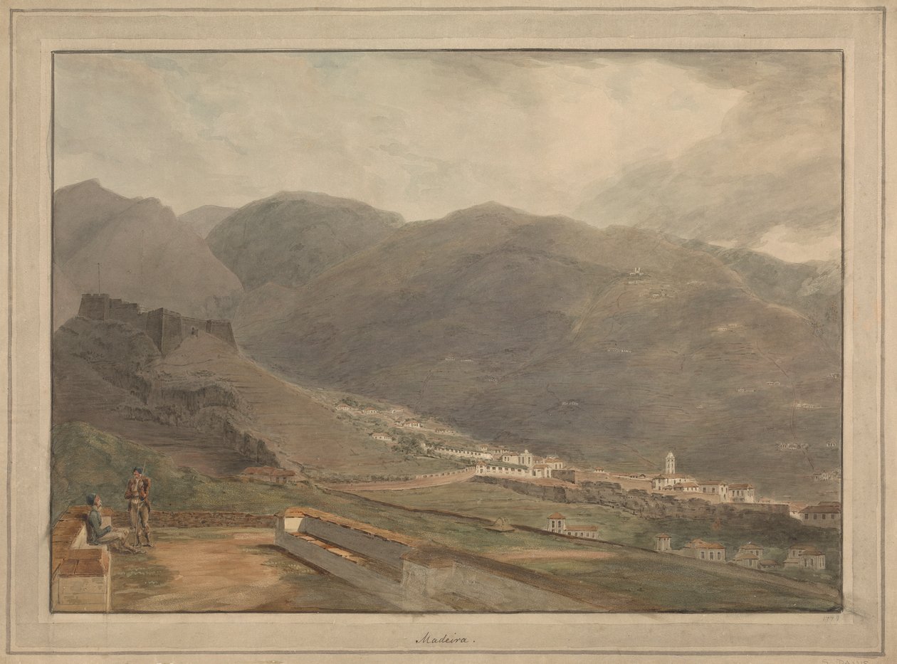 Madeira da Samuel Davis