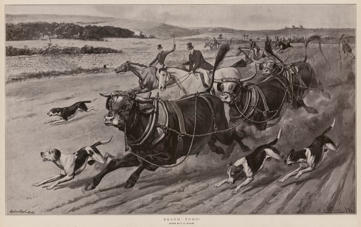 Bravo Toro! (litografia) da Samuel Edmund (after) Waller