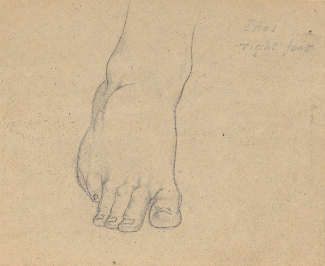 Studio per il Giudizio di Giove (Idas, piede destro) da Samuel Finley Breese Morse