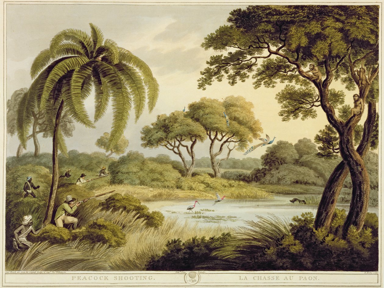 Caccia al pavone, da Oriental Field Sports, pub. da Edward Orme, 1807 da Samuel Howett