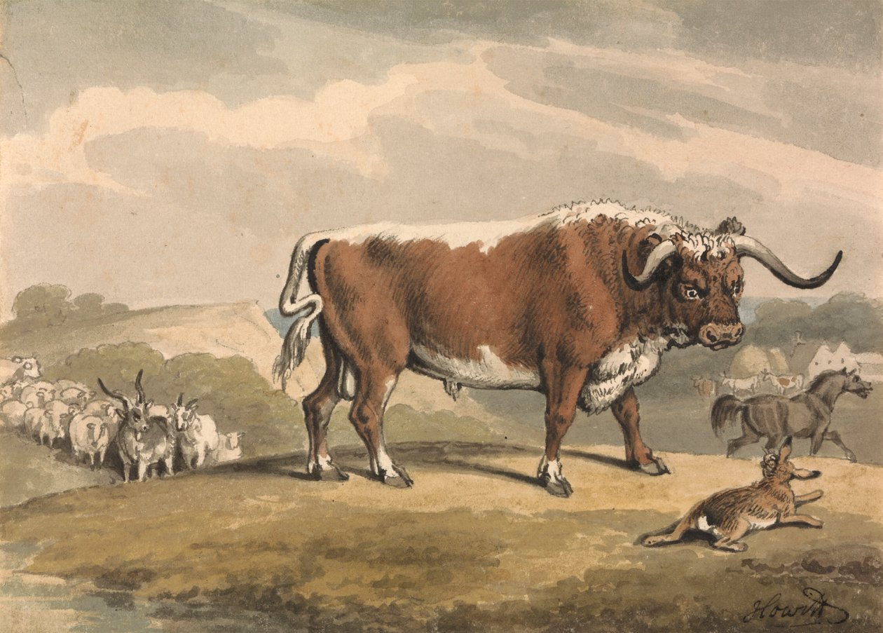 Un toro e un coniglio da Samuel Howitt