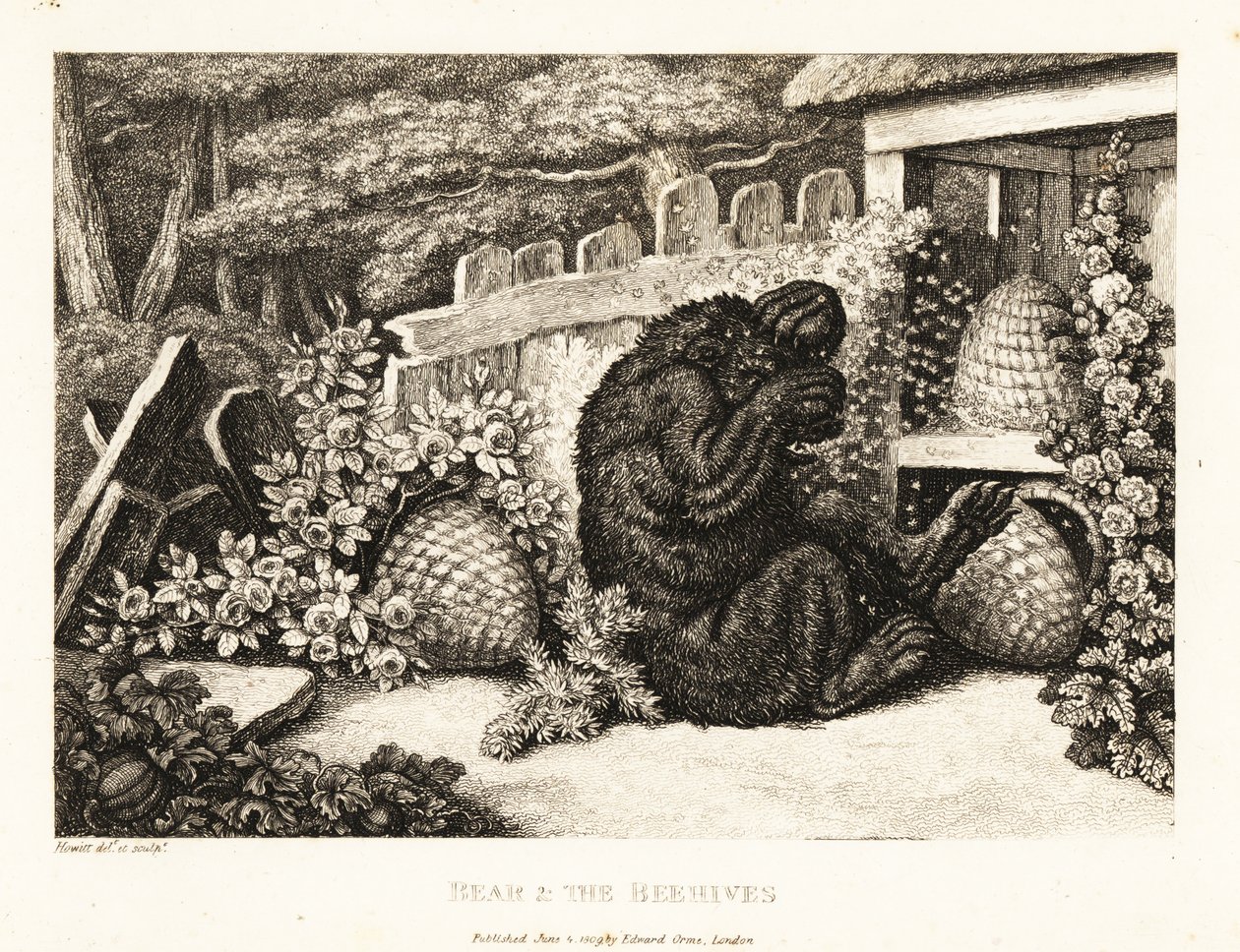 Un orso bruno attaccato da un esercito di api. 1811 (incisione) da Samuel Howitt
