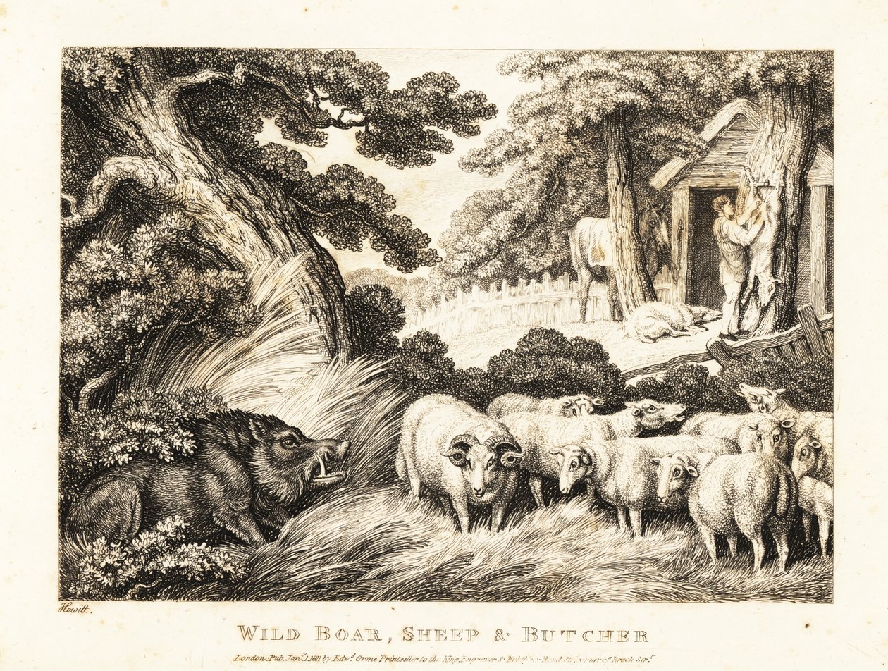 Un gregge di pecore attende di essere macellato da un macellaio. 1811 (acquaforte) da Samuel Howitt
