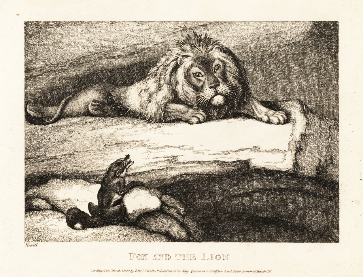 Una volpe si avvicina scioccamente a un leone maschio nella sua tana. 1811 (incisione) da Samuel Howitt