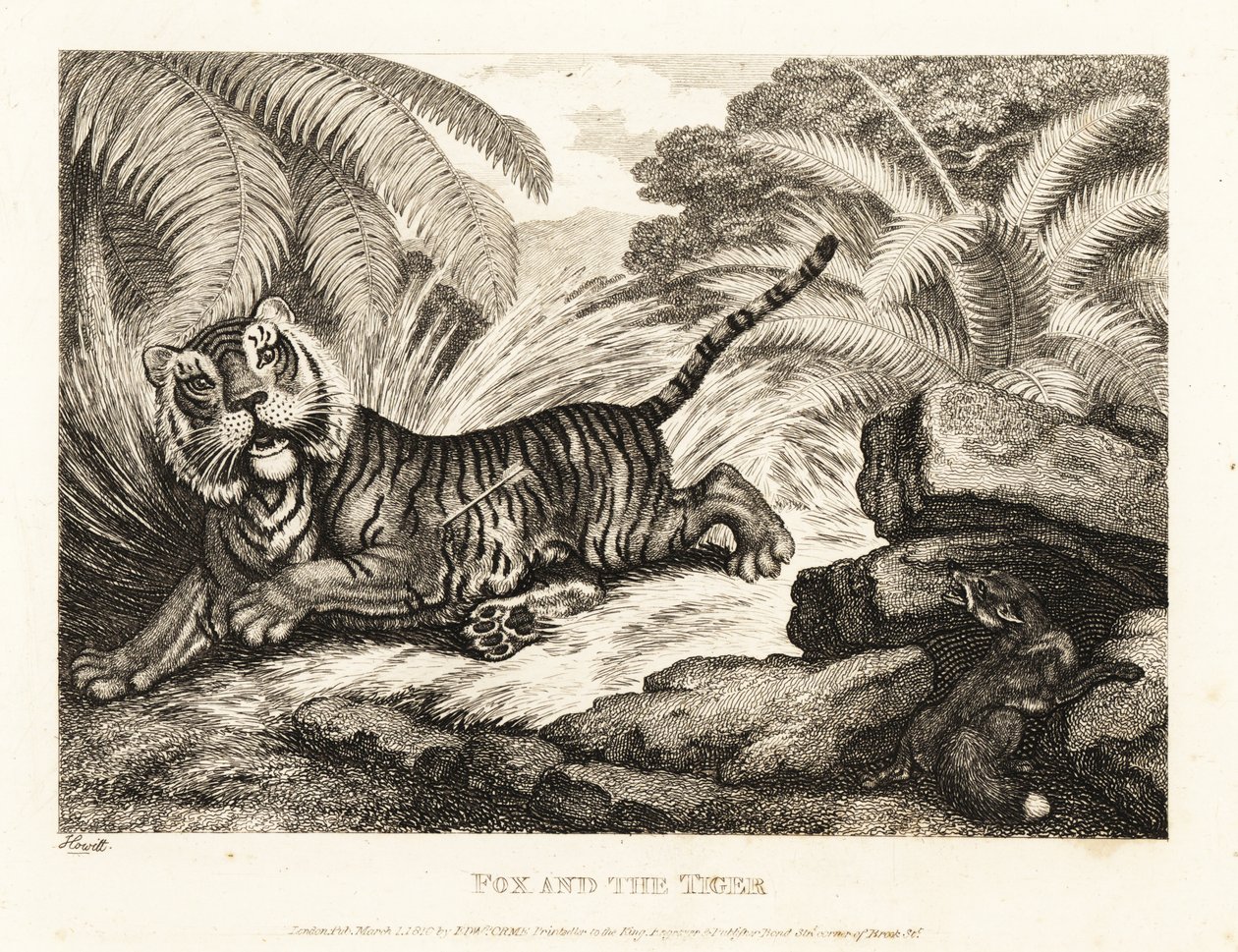 Una volpe osserva una tigre ferita. 1811 (incisione) da Samuel Howitt