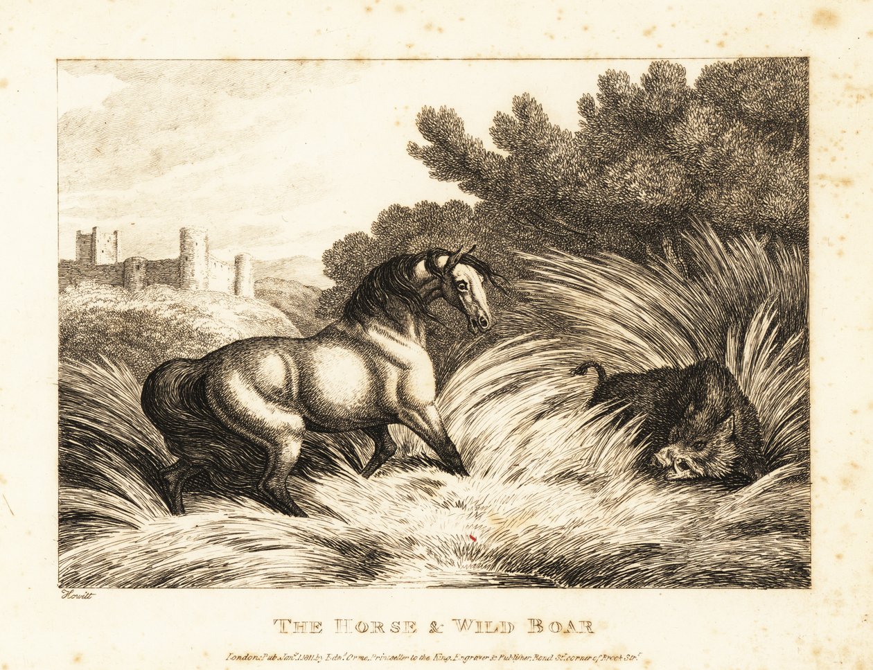 Un cavallo e un cinghiale si affrontano in un pascolo. 1811 (acquaforte) da Samuel Howitt
