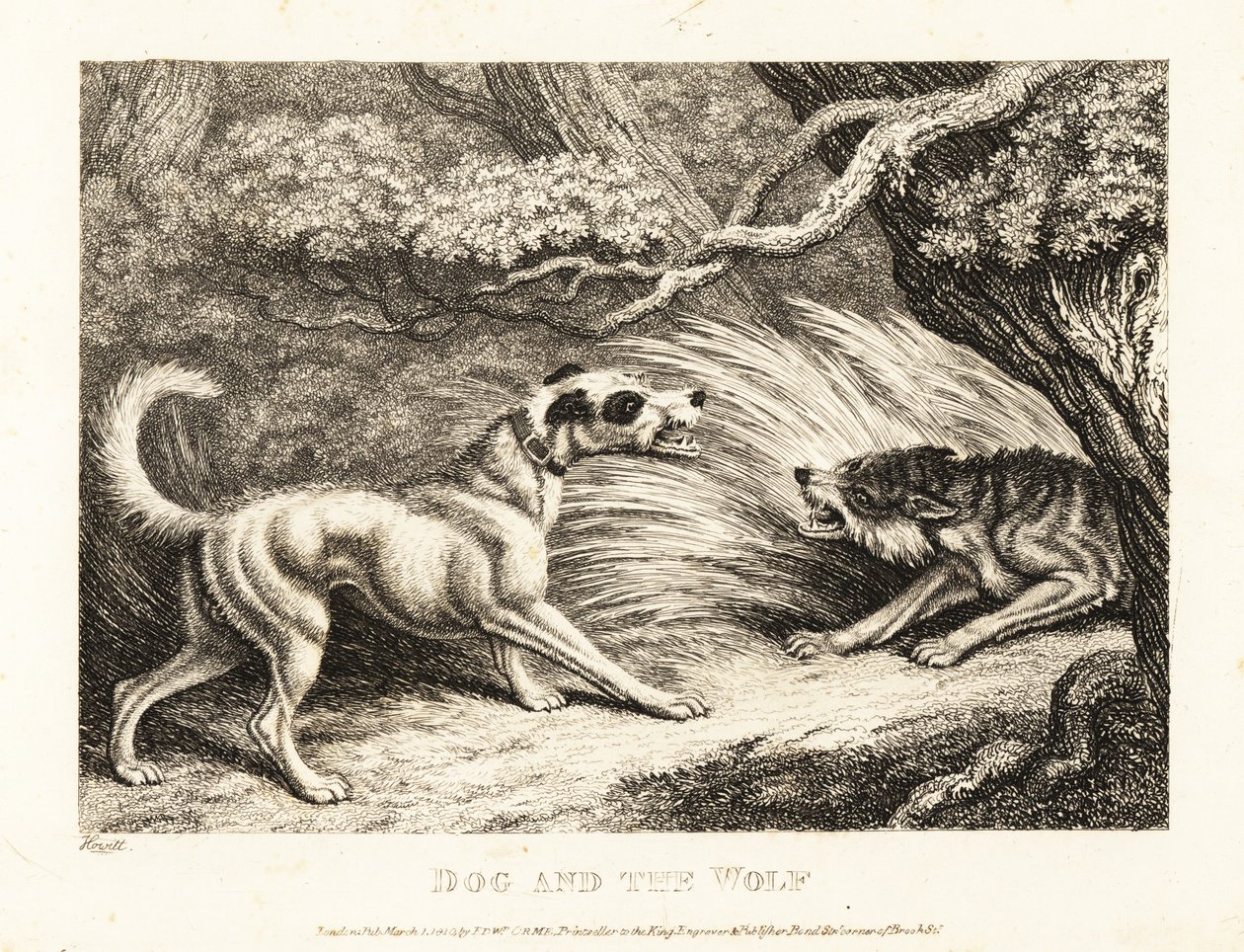 Un cane domestico con un collare offre cibo a un lupo affamato. 1811 da Samuel Howitt