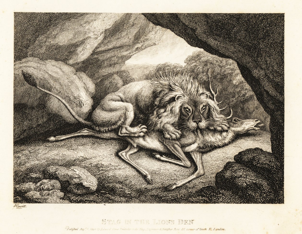 Un leone che mangia la carcassa di un cervo in una caverna. 1811 (incisione) da Samuel Howitt