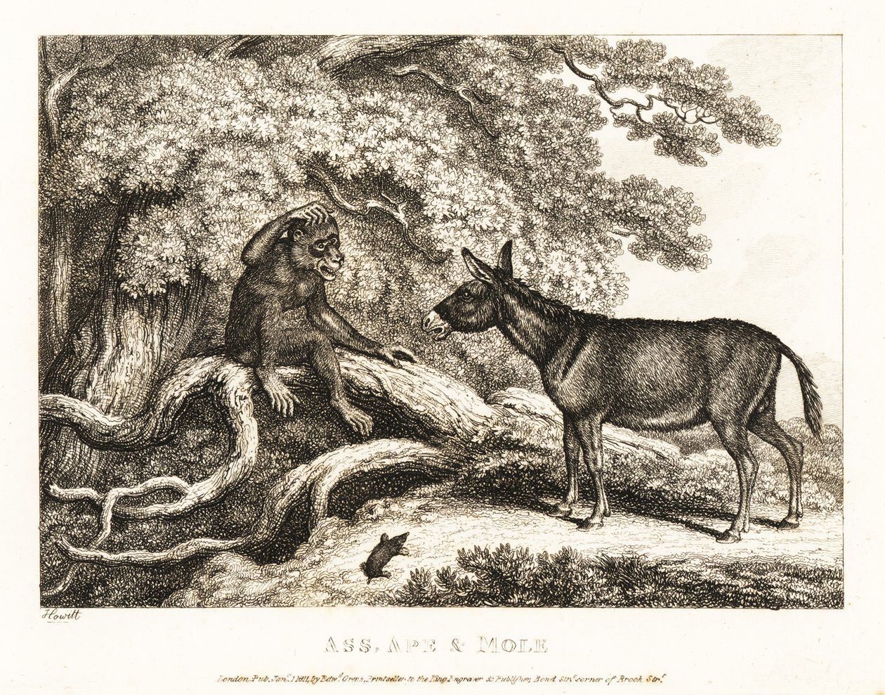 Una scimmia e un asino gemono finché una talpa li zittisce. 1811 (incisione) da Samuel Howitt