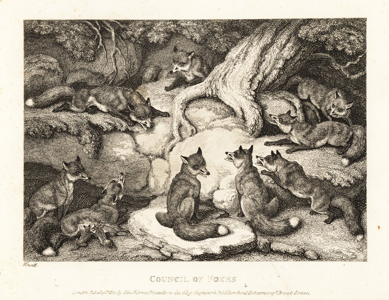 Un branco di volpi si incontra in una foresta. 1811 (acquaforte) da Samuel Howitt