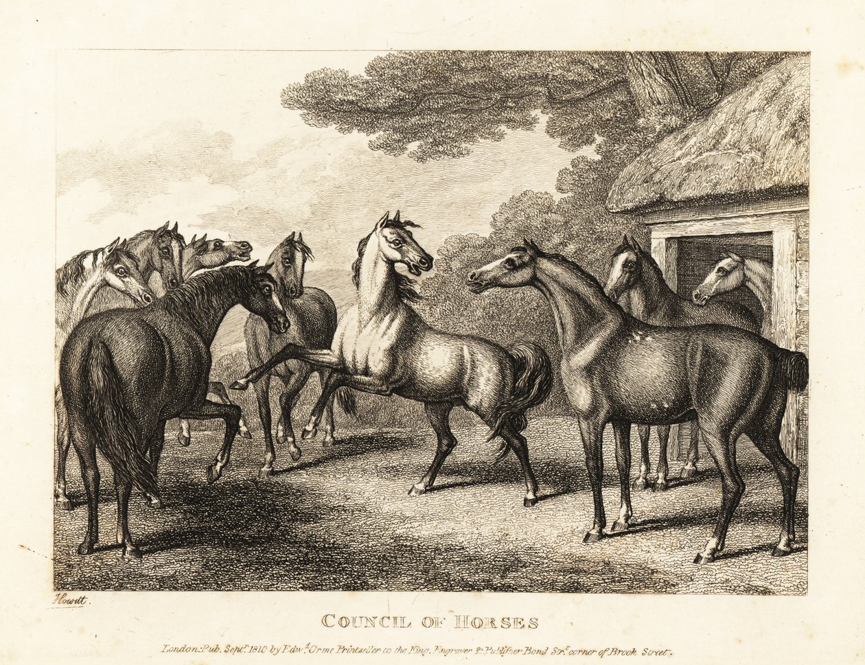 Un giovane puledro cerca di fomentare un ammutinamento nelle stalle. 1811 (acquaforte) da Samuel Howitt