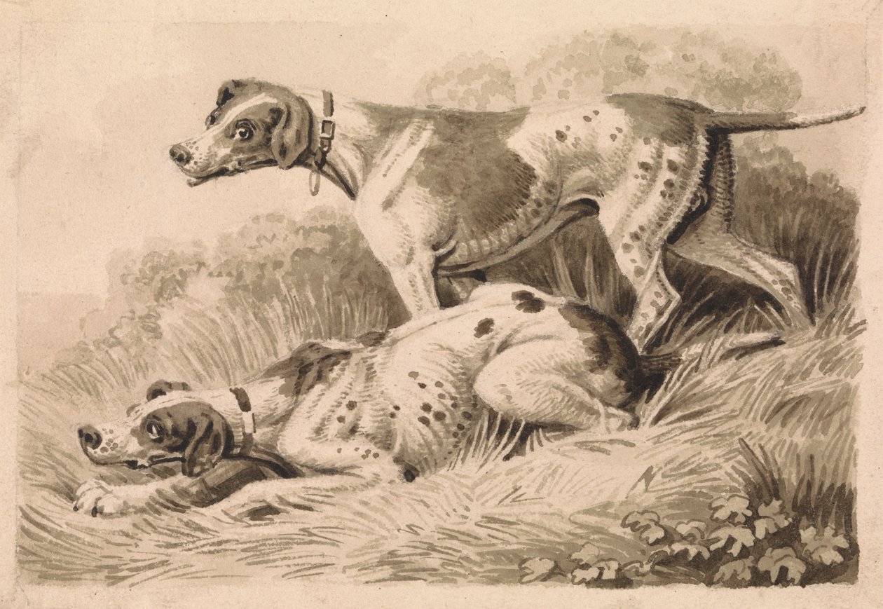Cani da caccia da Samuel Howitt