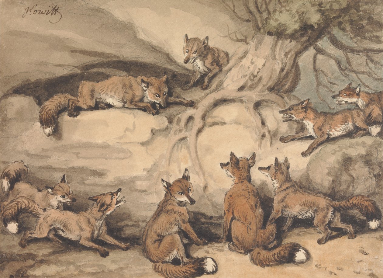 Nove volpi riunite attorno a un albero: illustrazione della favola di Esopo "La volpe che perse la coda" da Samuel Howitt