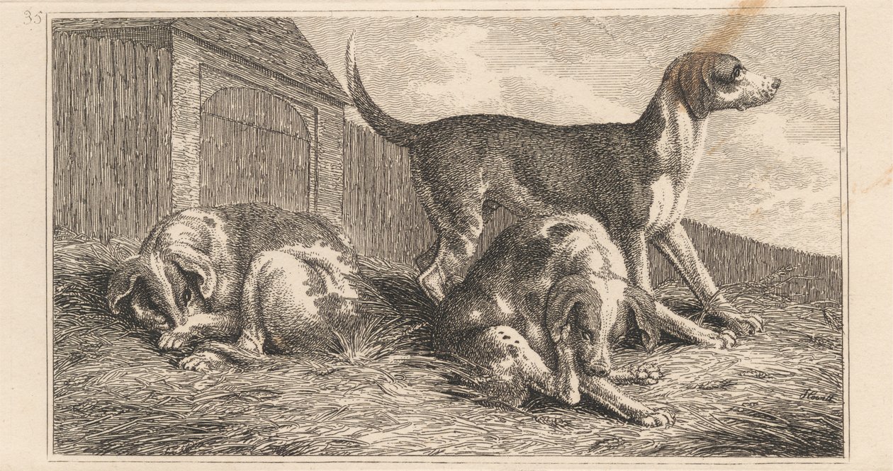 Tre cani da Samuel Howitt