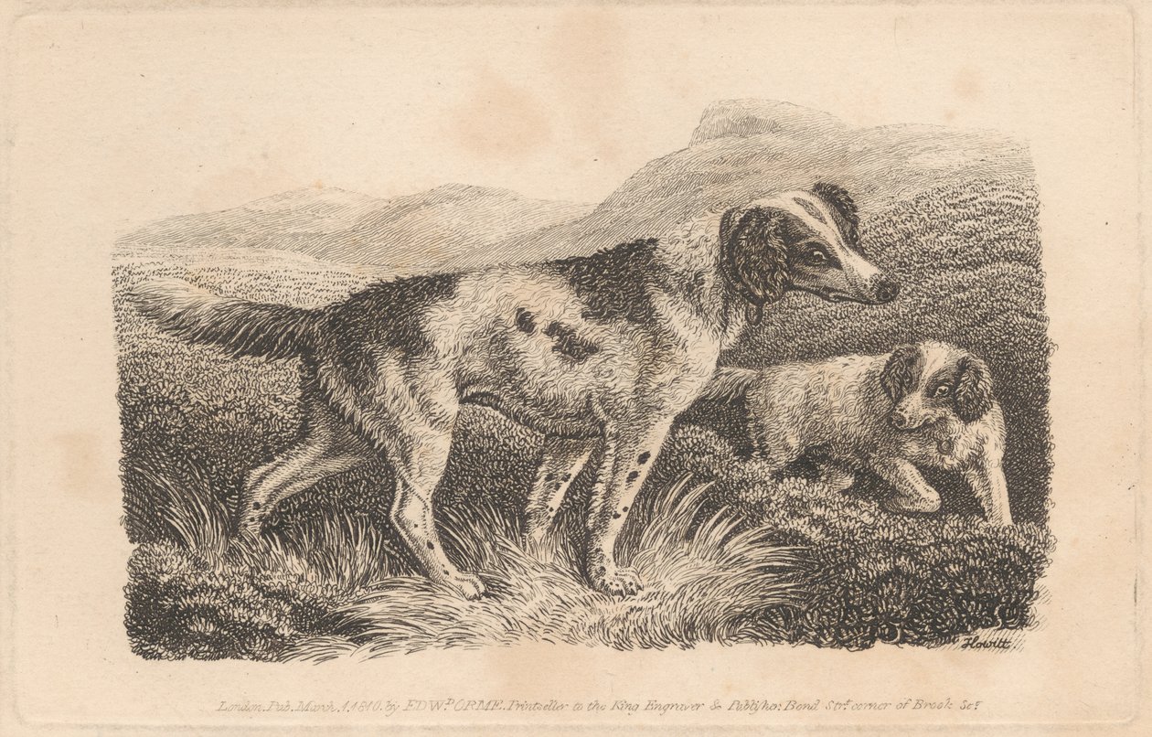 Due cani da Samuel Howitt