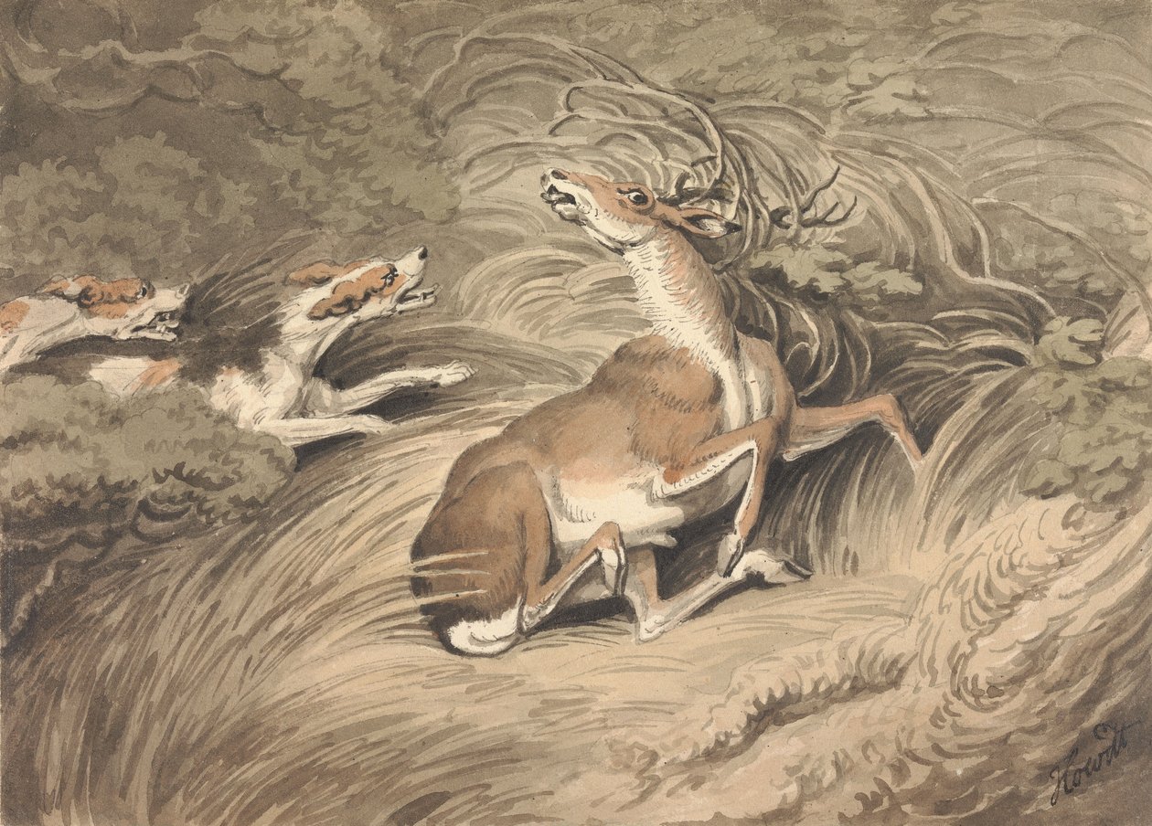 Due cani da caccia attaccano un cervo braccato da Samuel Howitt