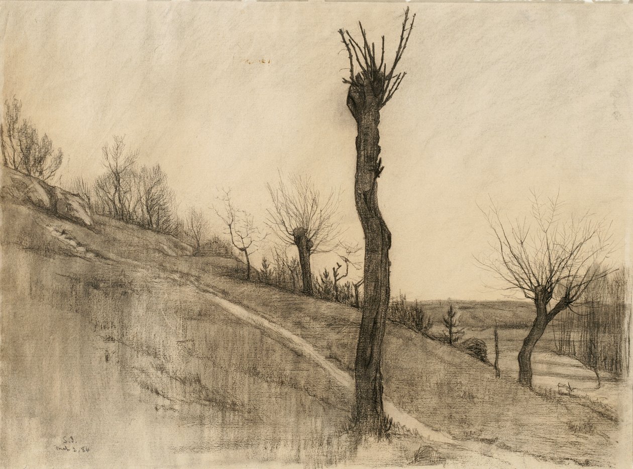 Paesaggio in tardo inverno, 1884 da Samuel Isham
