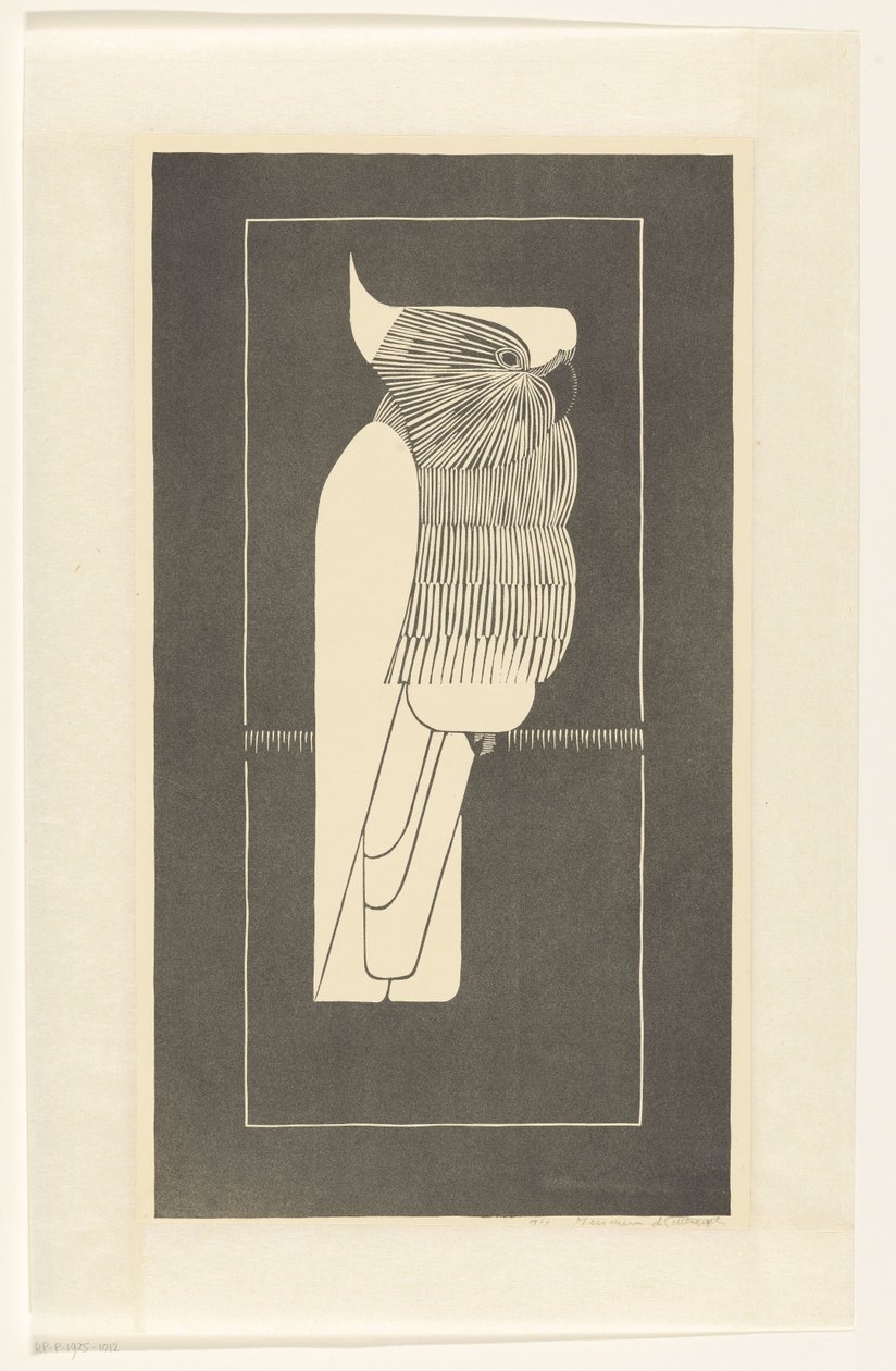 Cacatua maggiore da Samuel Jessurun de Mesquita (signed by artist)