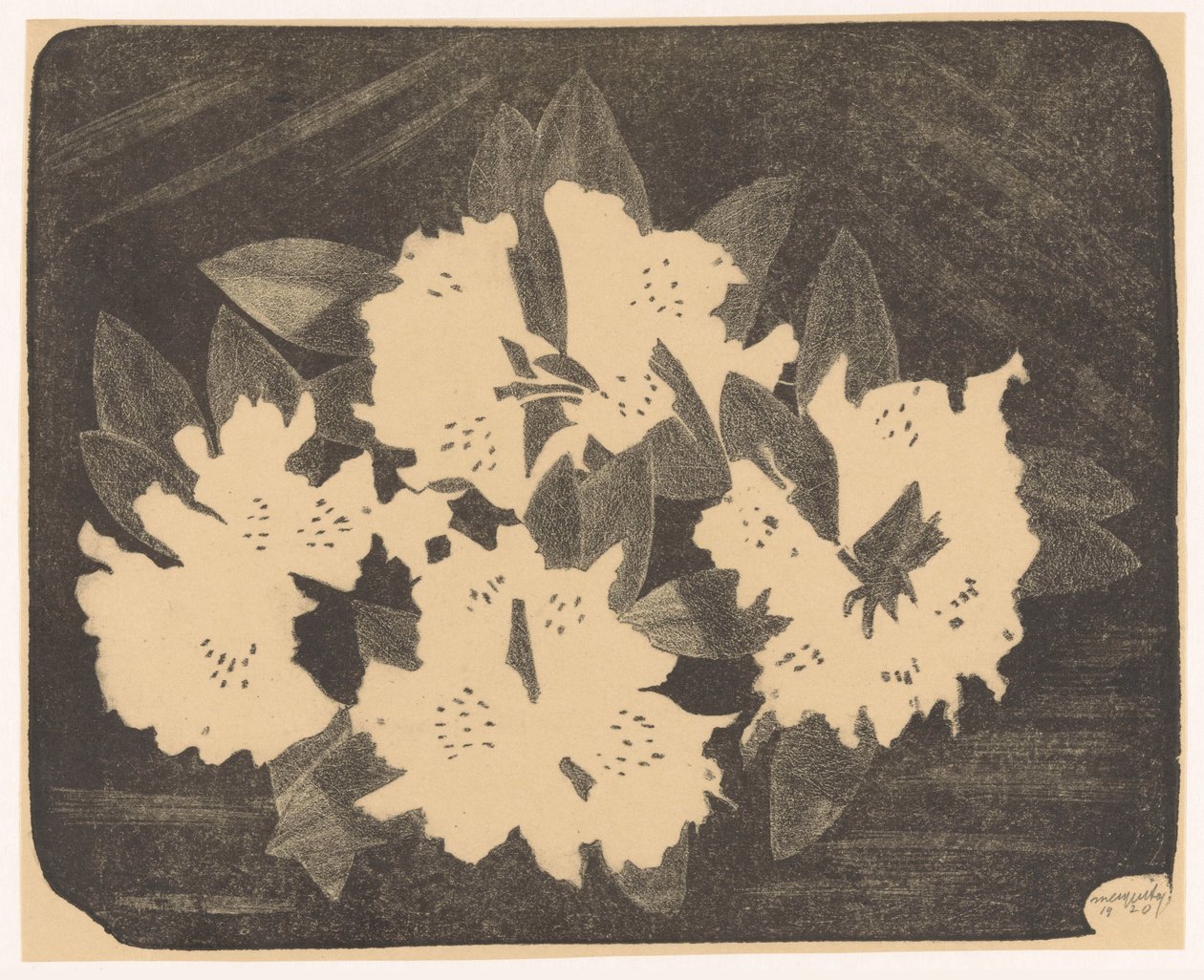 Rhododendron da Samuel Jessurun de Mesquita (signed by artist)