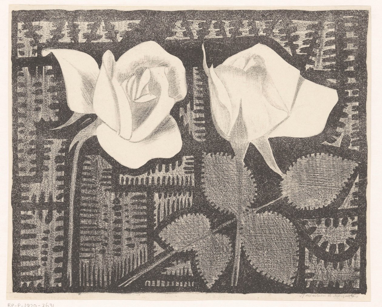 Due rose da Samuel Jessurun de Mesquita (signed by artist)