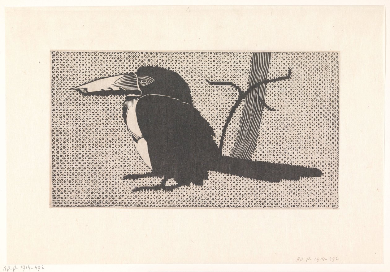 Tucano da Samuel Jessurun de Mesquita