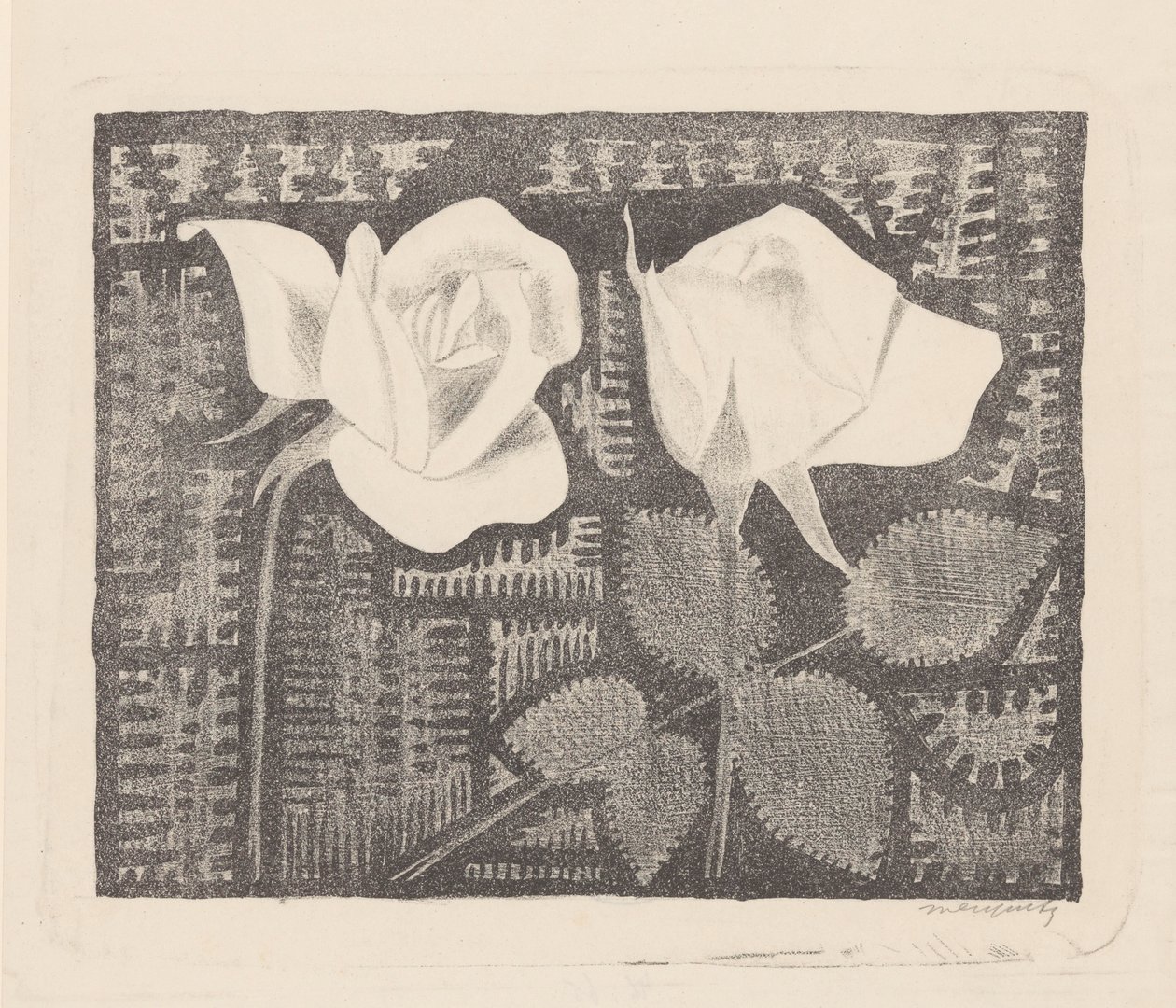 Due rose da Samuel Jessurun de Mesquita