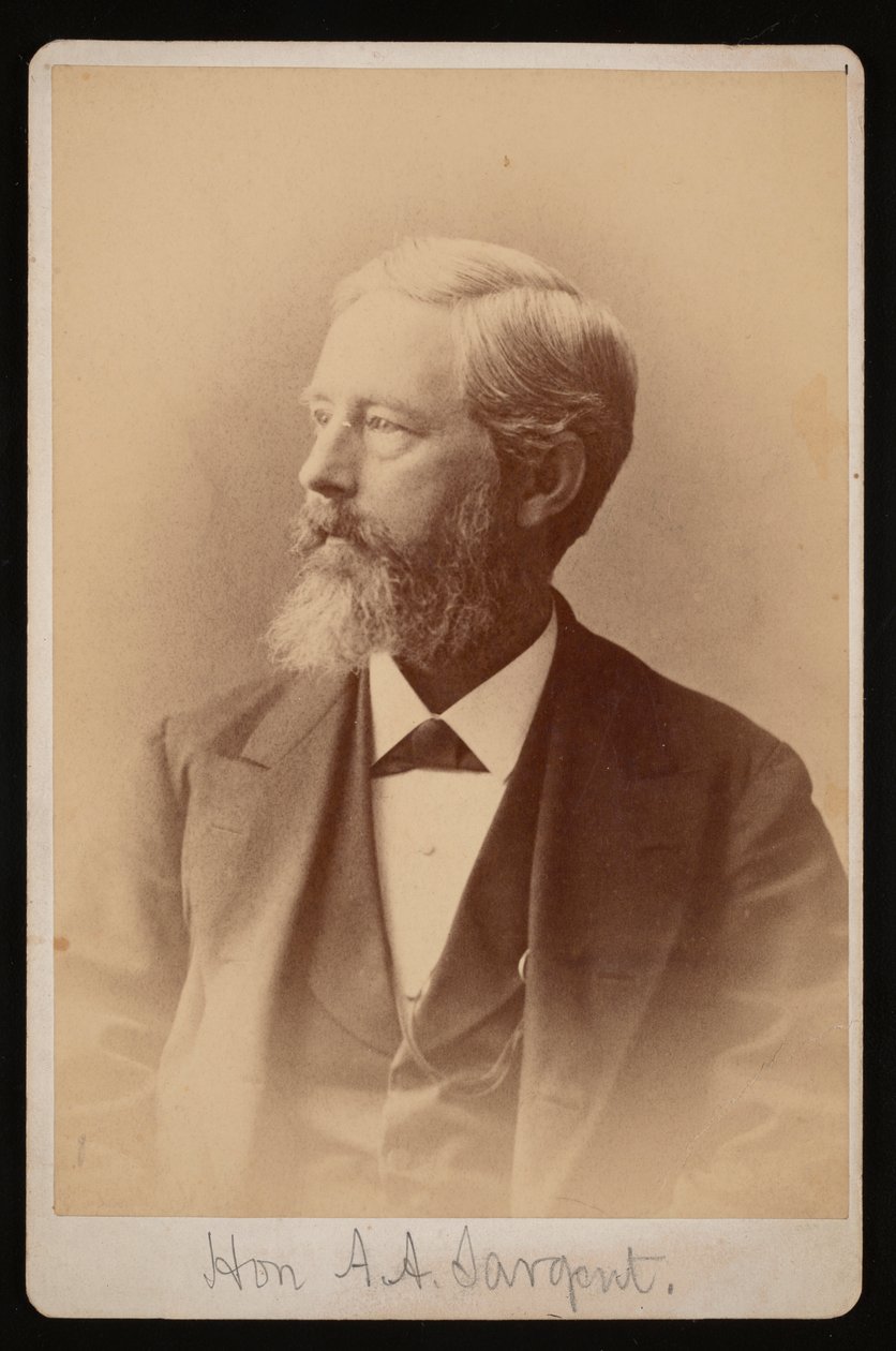 Ritratto di Aaron Augustus Sargent da Samuel Montague Fassett