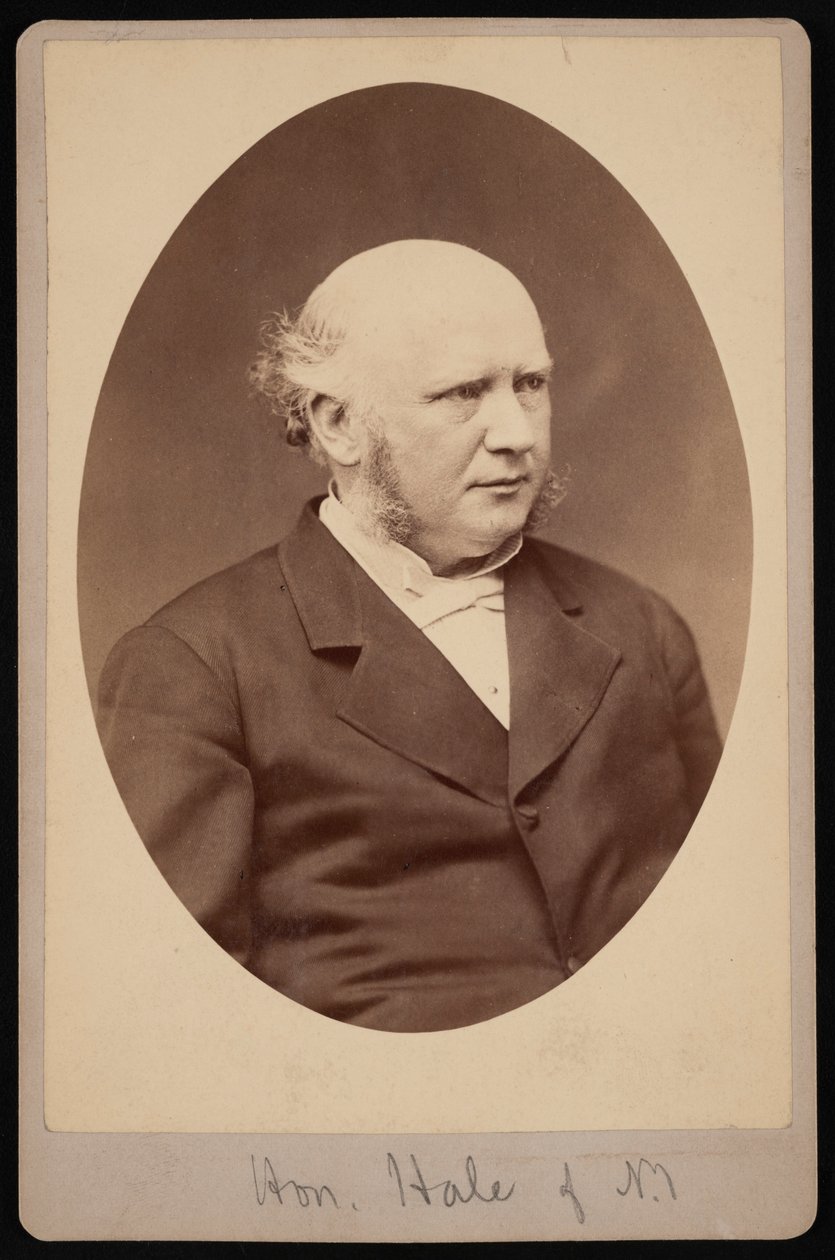 Ritratto di Robert Safford Hale da Samuel Montague Fassett