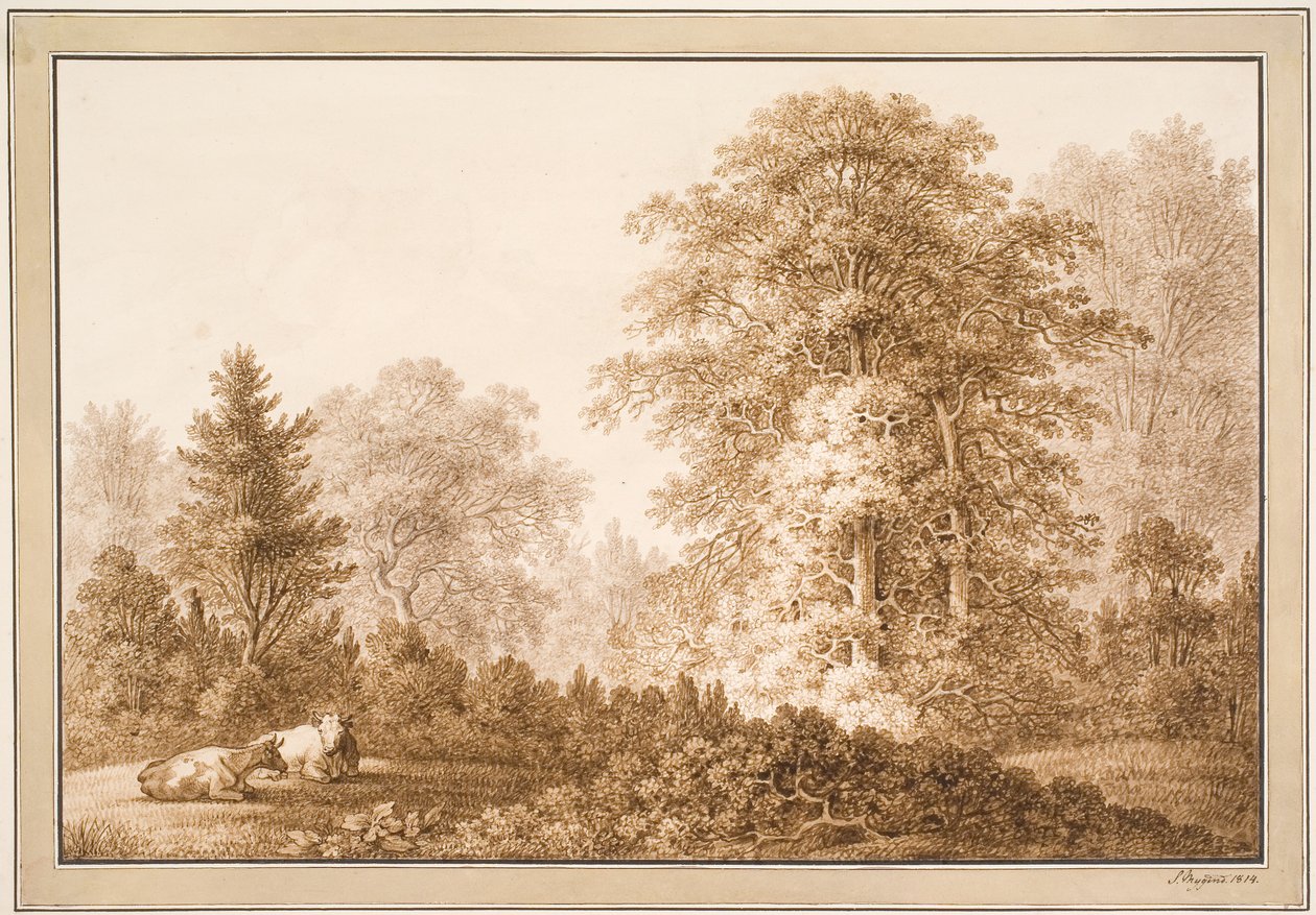 Paesaggio boschivo con due mucche sdraiate da Samuel Mygind