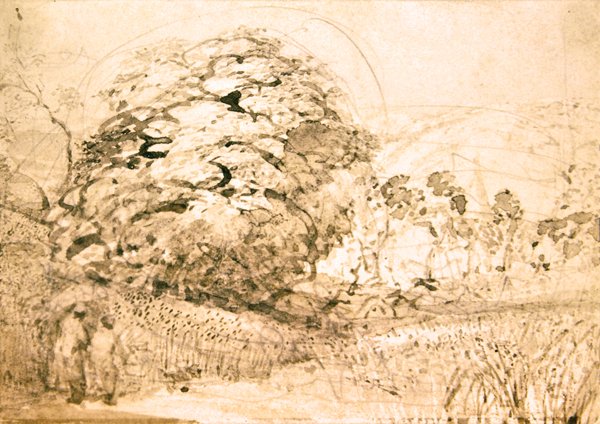 Un sentiero attraverso un campo di grano, c.1832-33 da Samuel Palmer