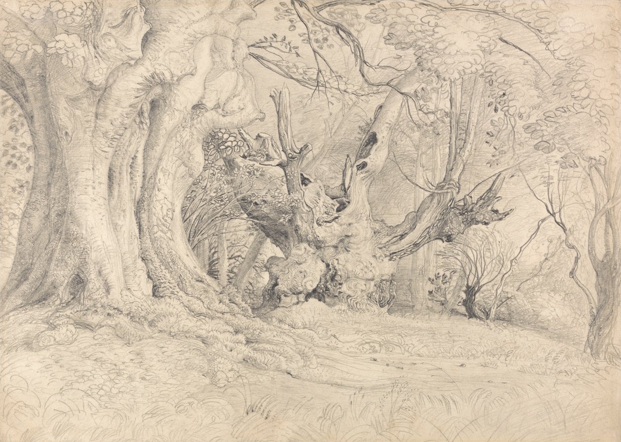 Alberi antichi, Parco di Lullingstone da Samuel Palmer