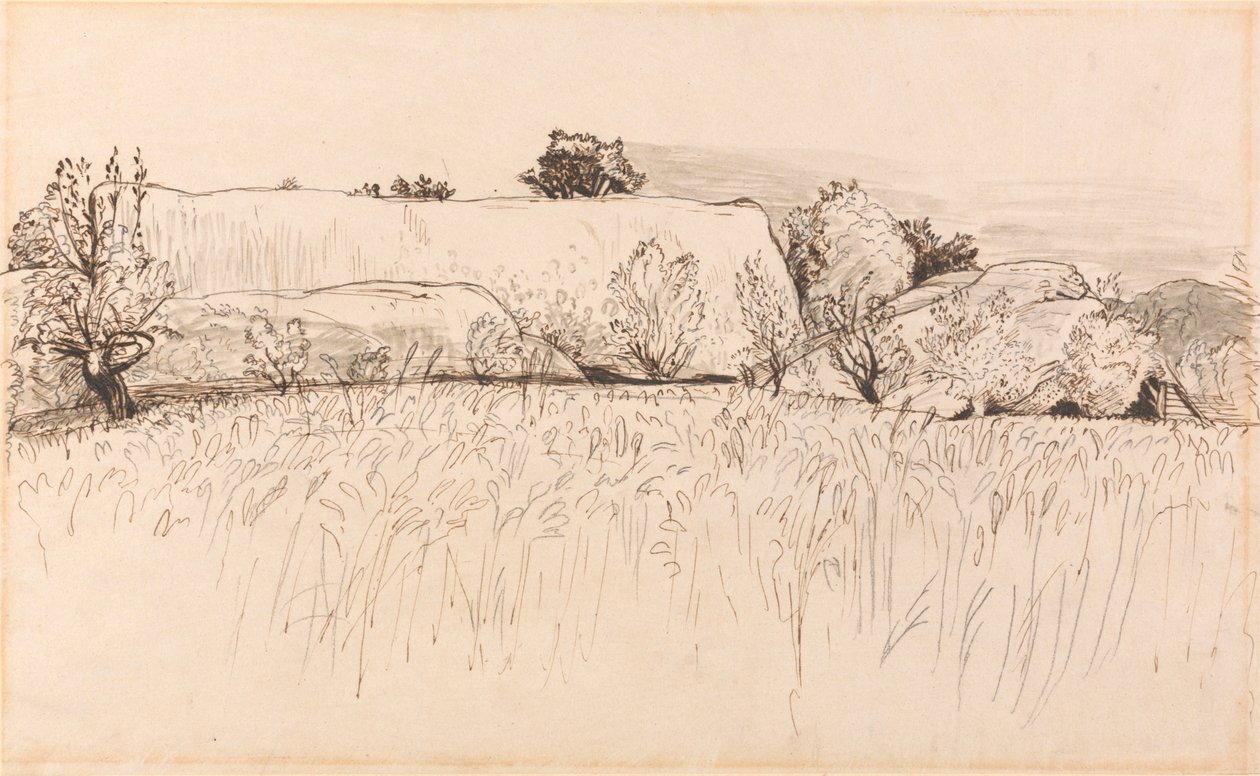 Campi di grano con fienile, Shoreham da Samuel Palmer