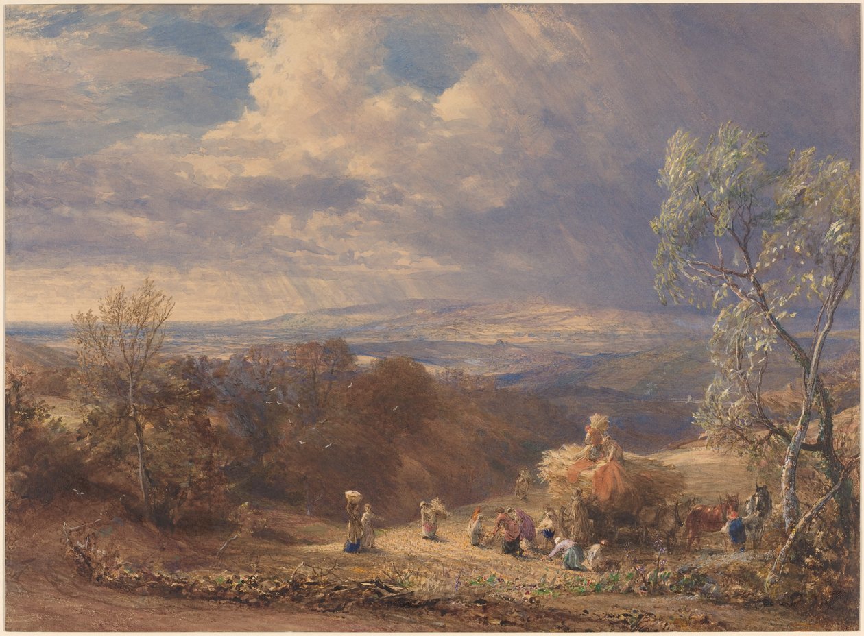 Raccolta da Samuel Palmer