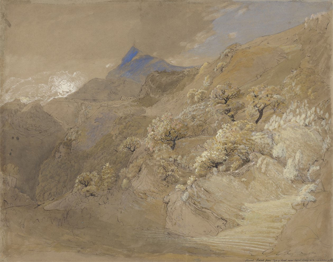 Monte Siabod da Tyn-y-Coed vicino a Capel Curig da Samuel Palmer