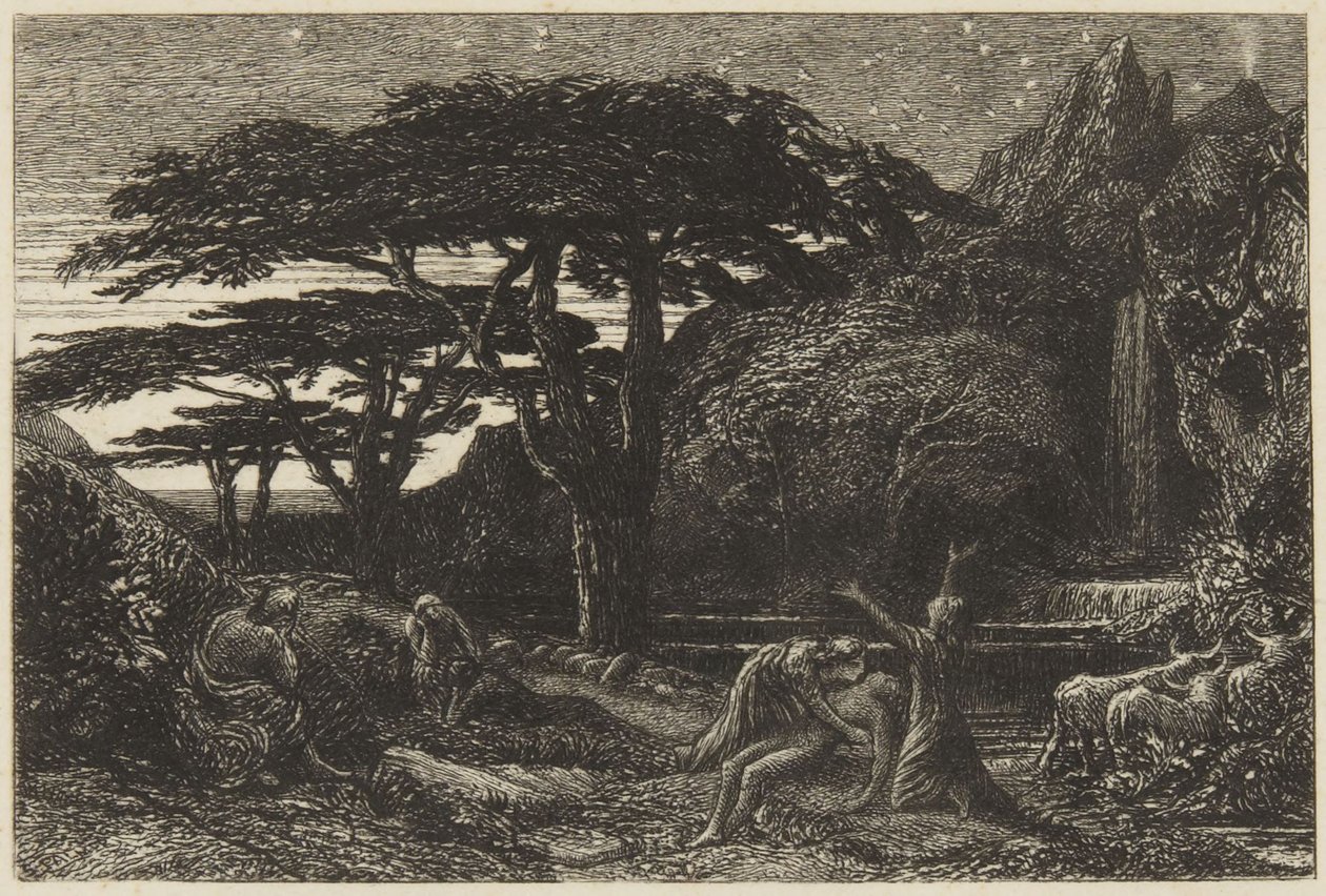 Il boschetto di cipressi da Samuel Palmer