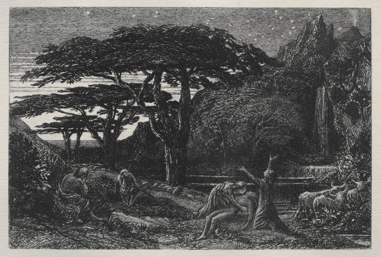 Il boschetto di cipressi, 1883 da Samuel Palmer