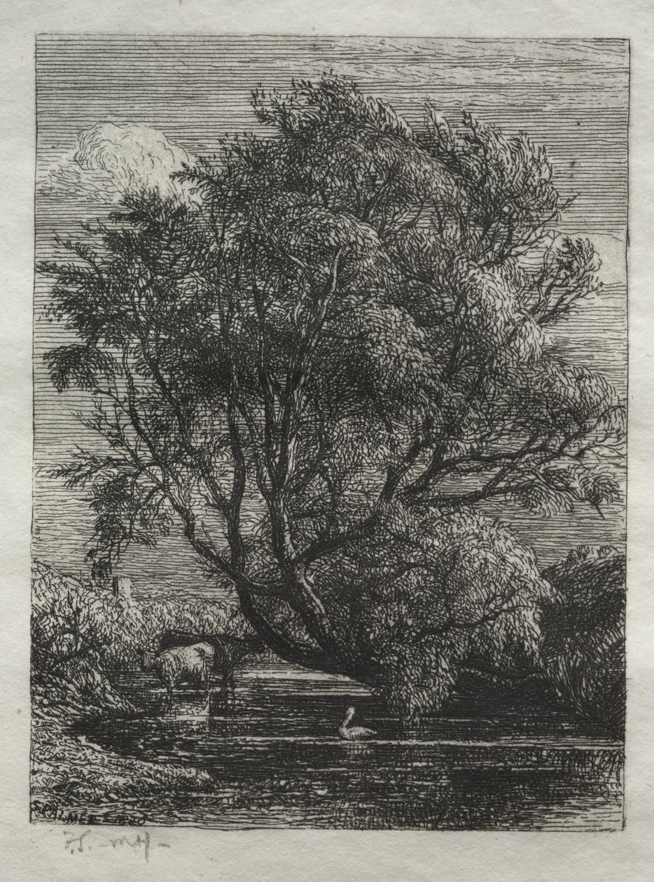 Il salice da Samuel Palmer