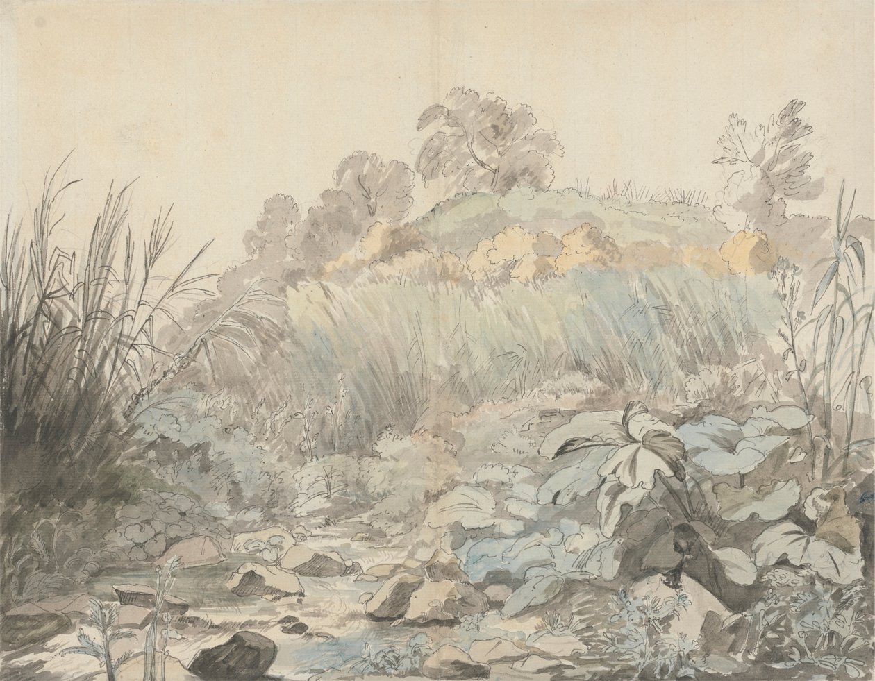 Un torrente roccioso da Samuel Woodforde