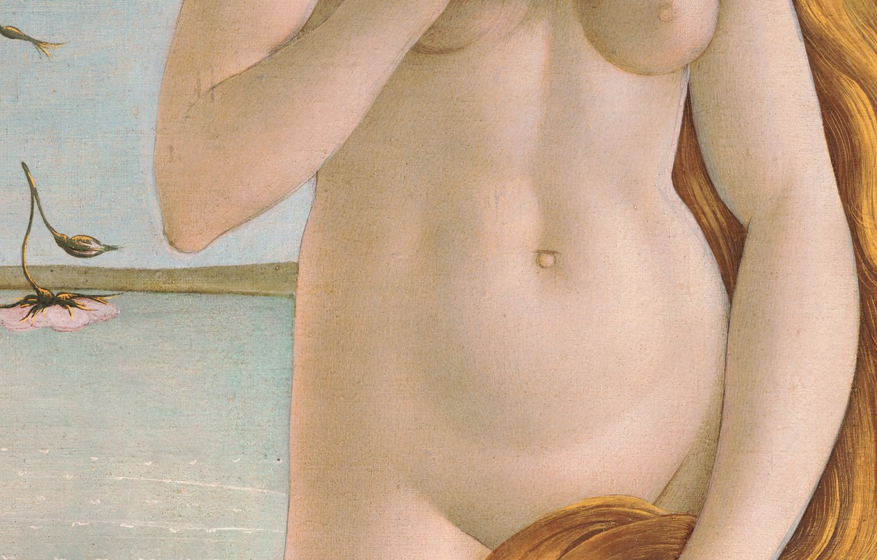 Nascita di Venere, (dettaglio) del torso di Venere, 1484 da Sandro Botticelli