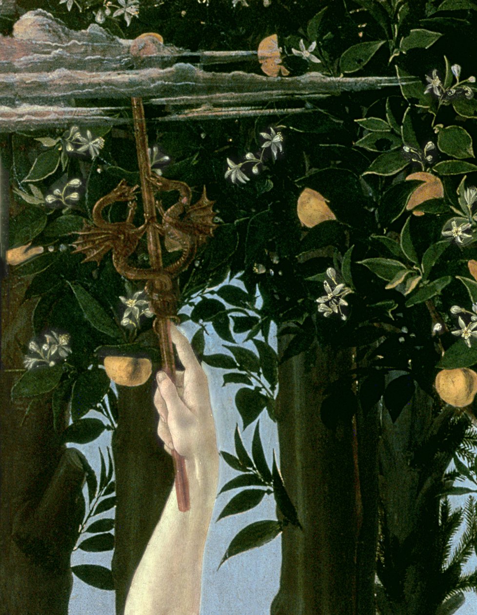 Primavera, c.1478 (dettaglio) da Sandro Botticelli