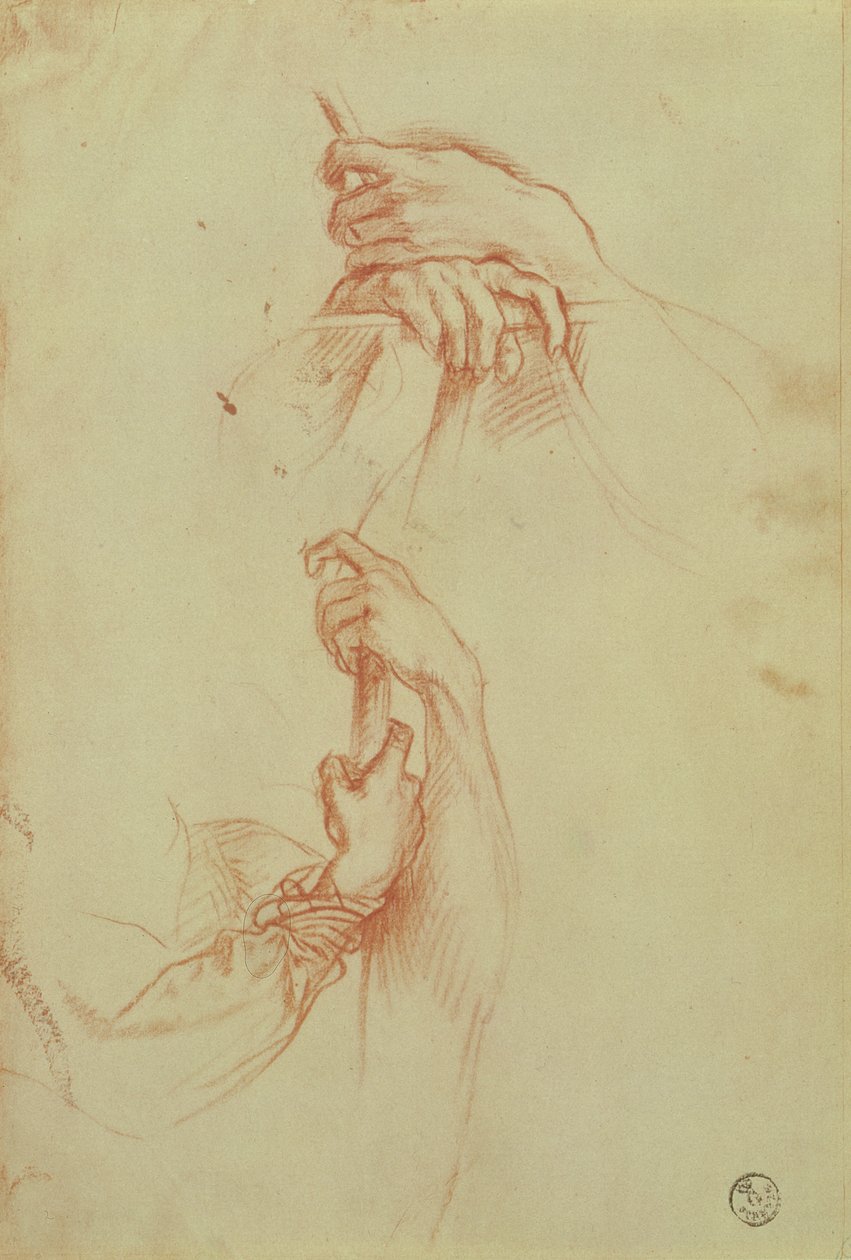 Due studi di mani di un giovane uomo da Sandro Botticelli