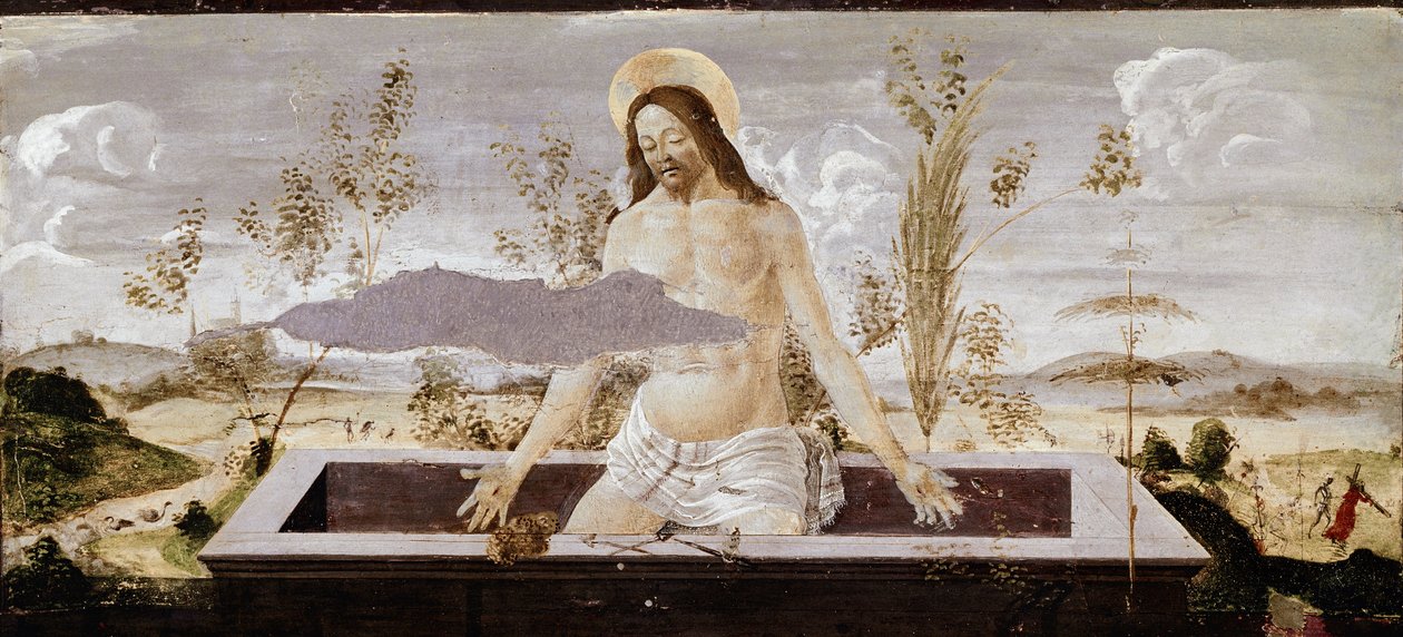 Pietà (dettaglio) da Sandro Botticelli