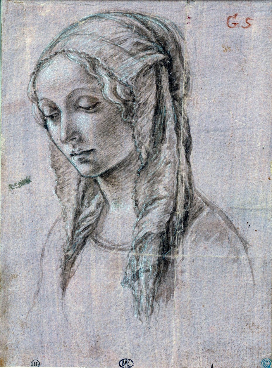 Testa di giovane donna da Sandro (attr. to) Botticelli