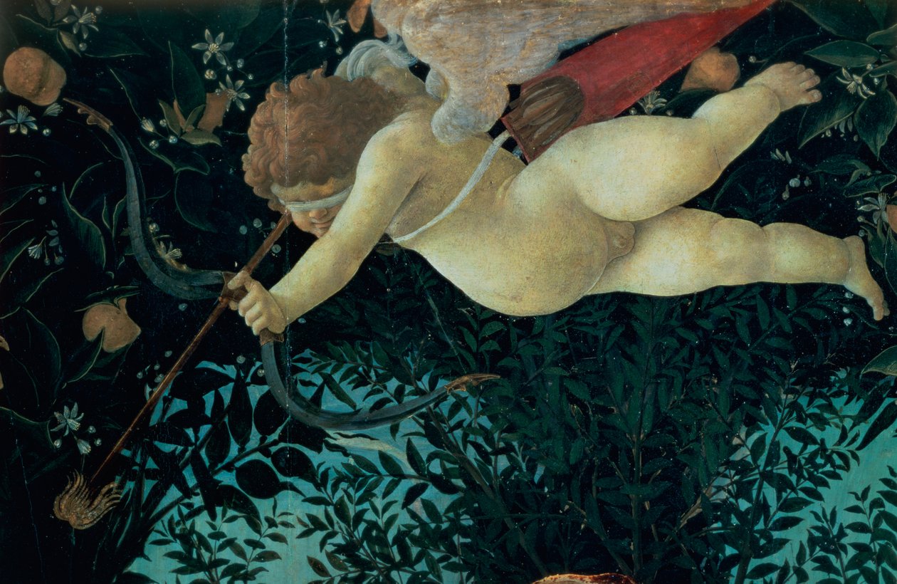 Cupido (dettaglio dalla Primavera) da Sandro Botticelli