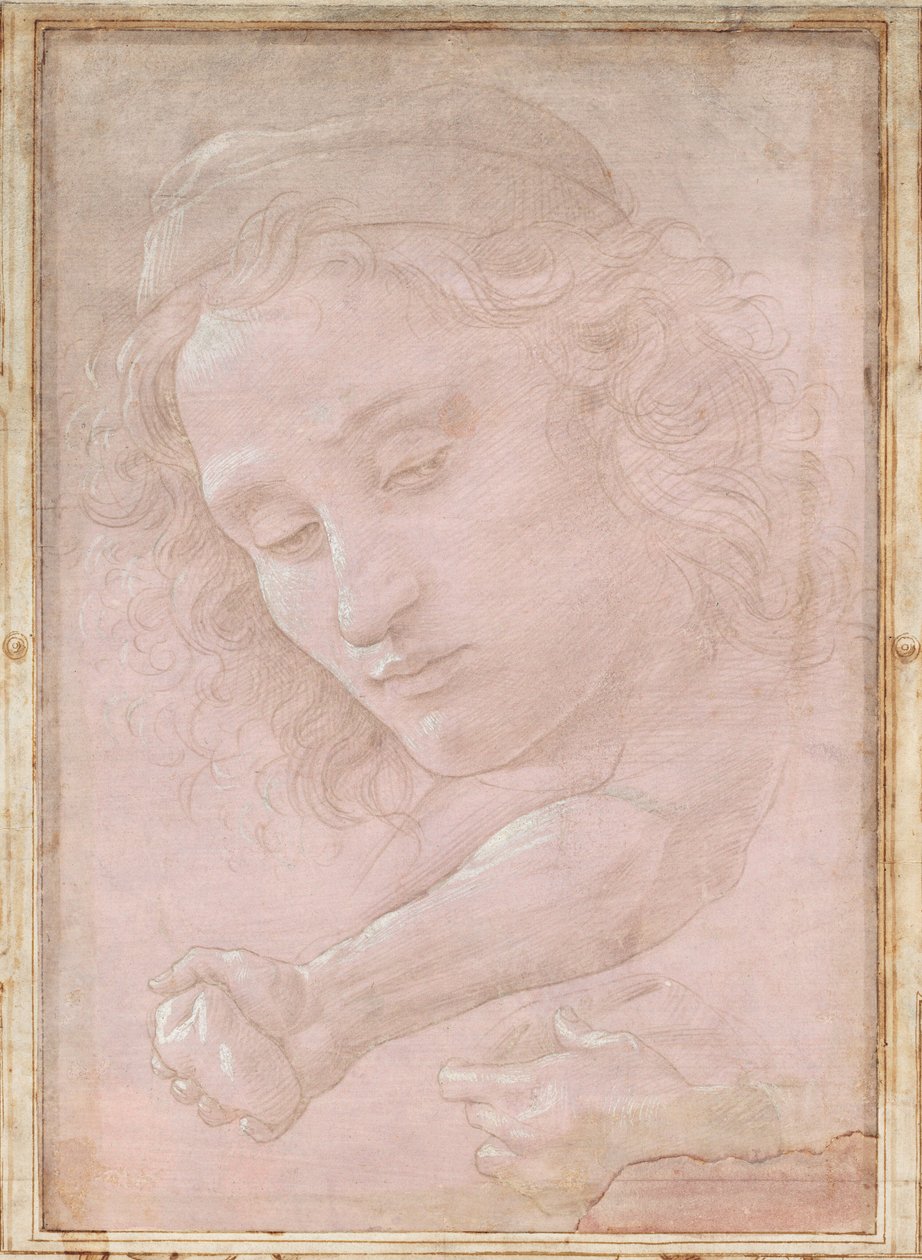 Testa di un giovane con cappello; un avambraccio destro con la mano che stringe una pietra; e una mano sinistra che tiene un drappo da Sandro Botticelli