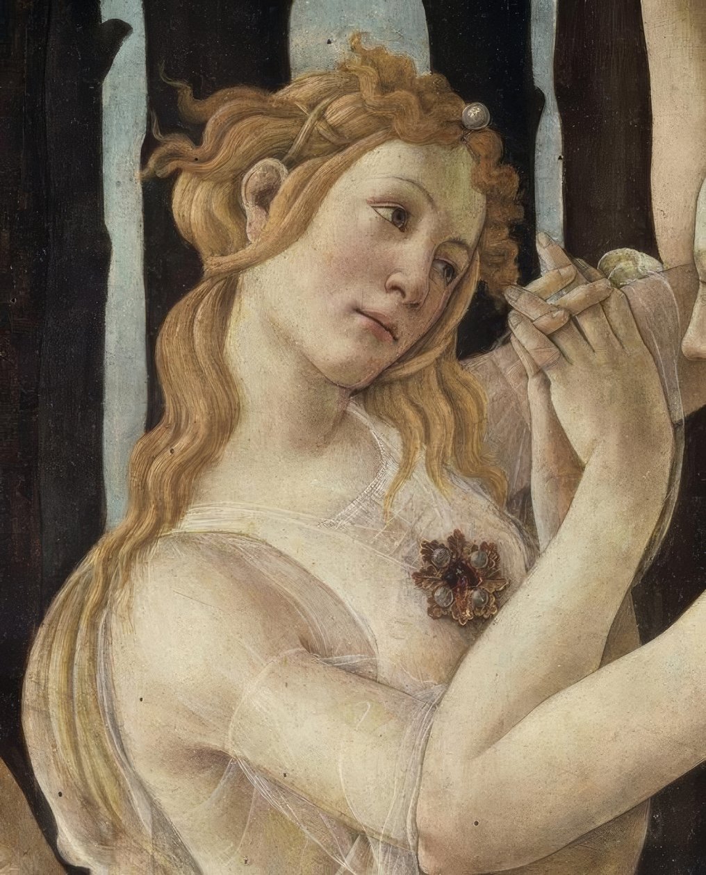 La Primavera da Sandro Botticelli