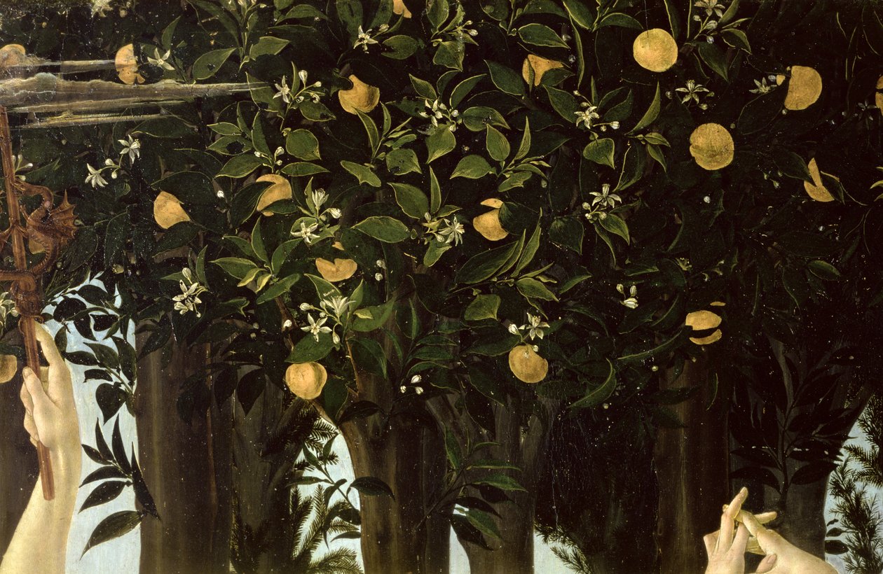 Primavera (dettaglio dell